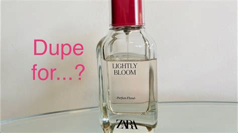 lightly bloom zara dupe